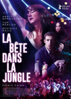 bo bete-dans-la-jungle2023021916